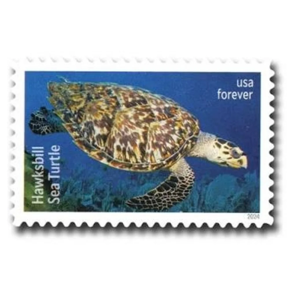 90 Protect Sea Turtles Forever Postage Stamps USPS‎ Wedding Invitations 2024